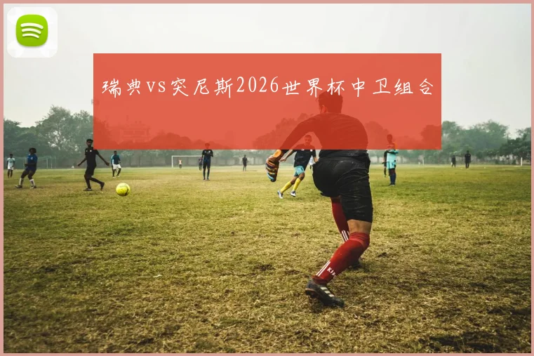 瑞典vs突尼斯2026世界杯中卫组合