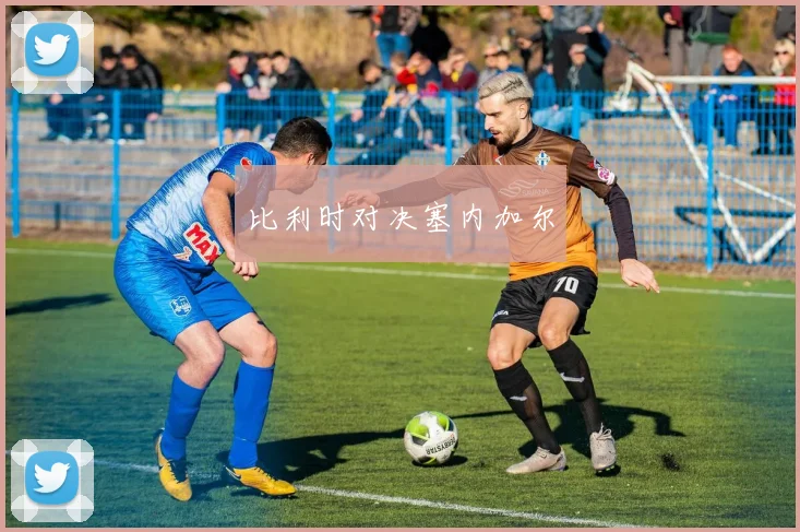 比利时对决塞内加尔