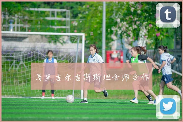 马里吉尔吉斯斯坦会师合作