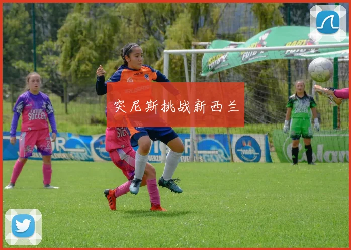 突尼斯挑战新西兰
