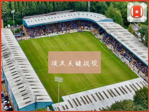 埃及关键战役