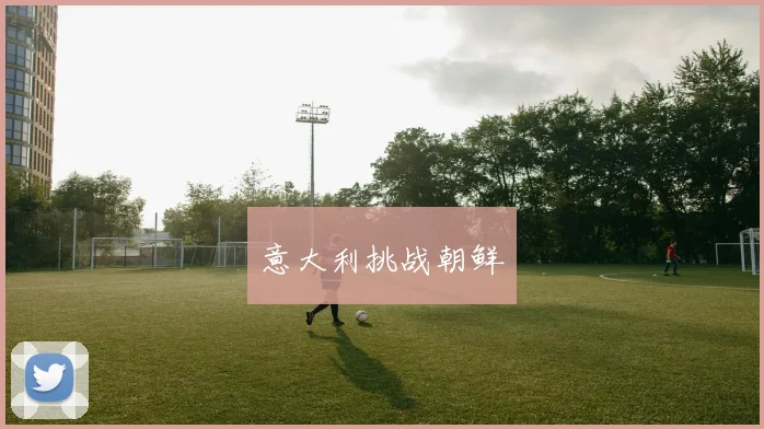 意大利挑战朝鲜