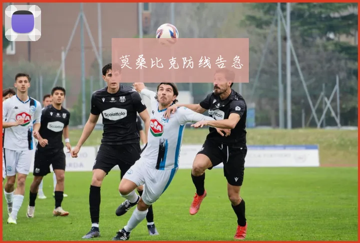莫桑比克防线告急