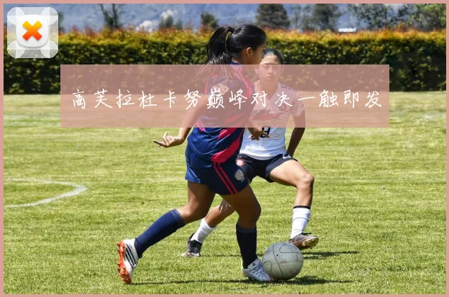 高芙拉杜卡努巅峰对决一触即发