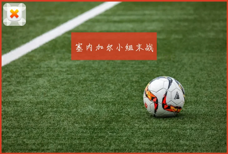 塞内加尔小组末战