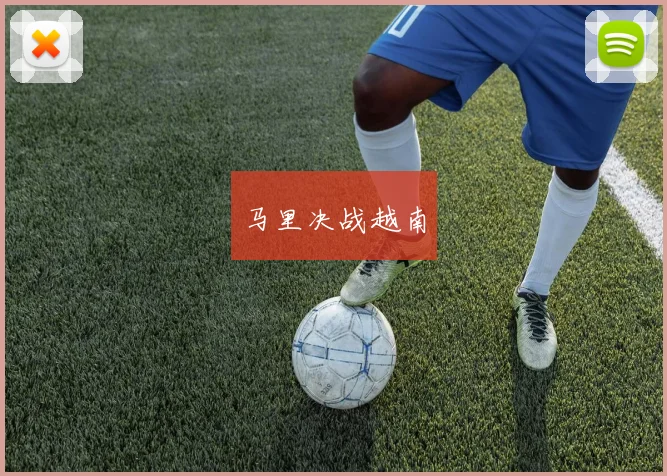 马里决战越南