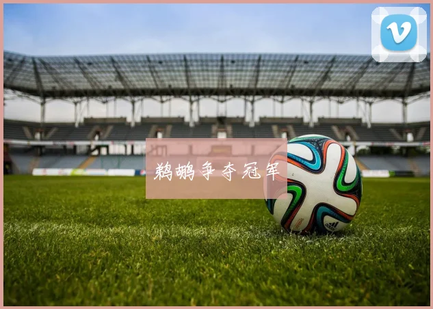 鹈鹕争夺冠军