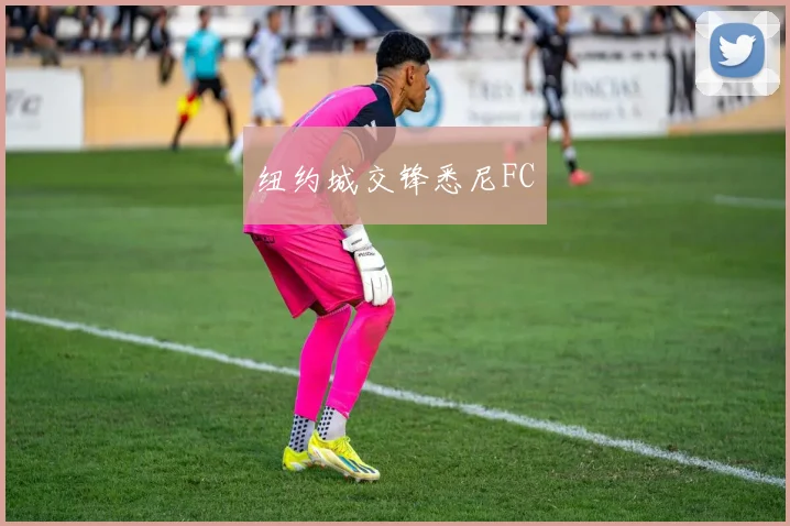 纽约城交锋悉尼FC