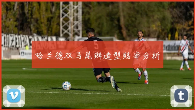 哈兰德双马尾辫造型赔率分析