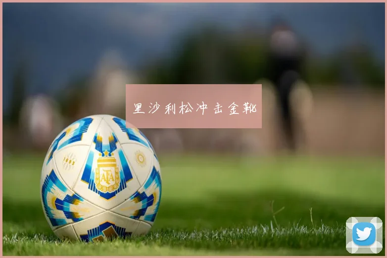 里沙利松冲击金靴