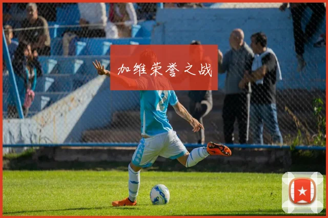 加维荣誉之战