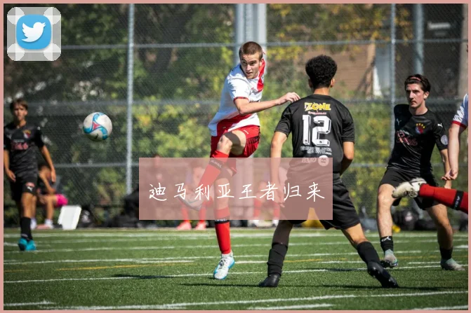 迪马利亚王者归来