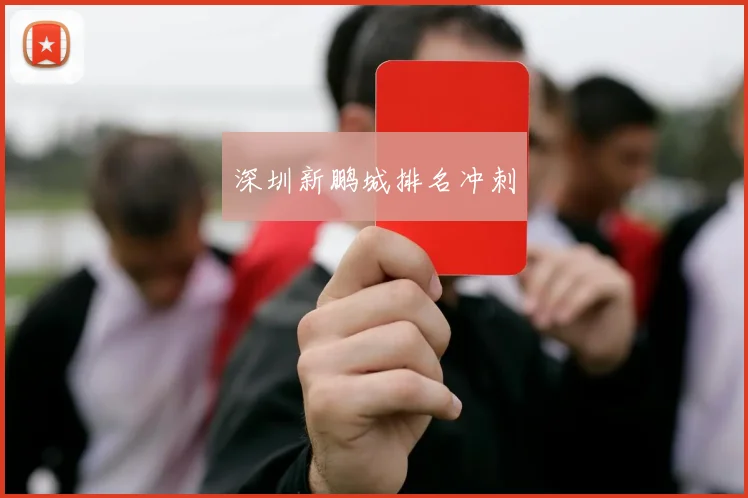 深圳新鹏城排名冲刺