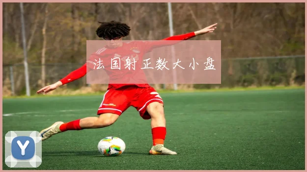 法国射正数大小盘