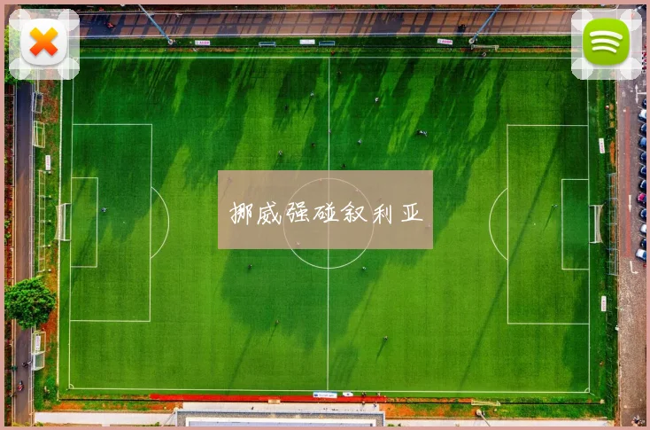 挪威强碰叙利亚