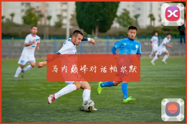 马内巅峰对话帕尔默