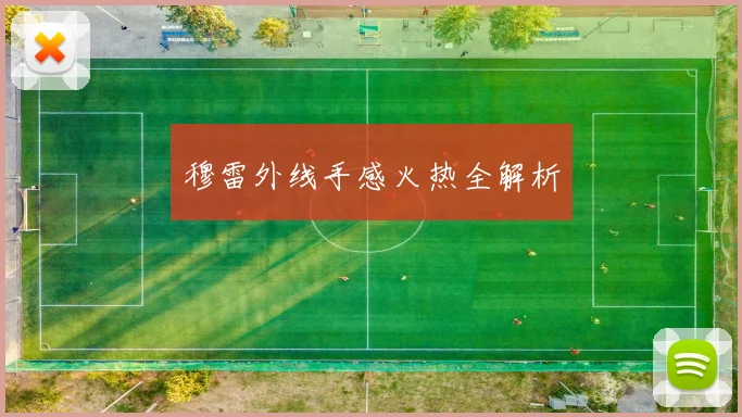 穆雷外线手感火热全解析