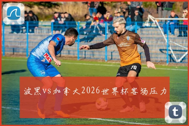 波黑vs加拿大2026世界杯客场压力