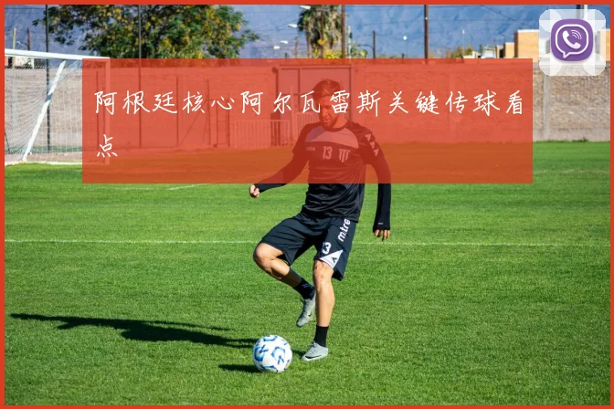 阿根廷核心阿尔瓦雷斯关键传球看点